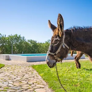 Vakantieboerderij Burro By Host Wise, Portimão